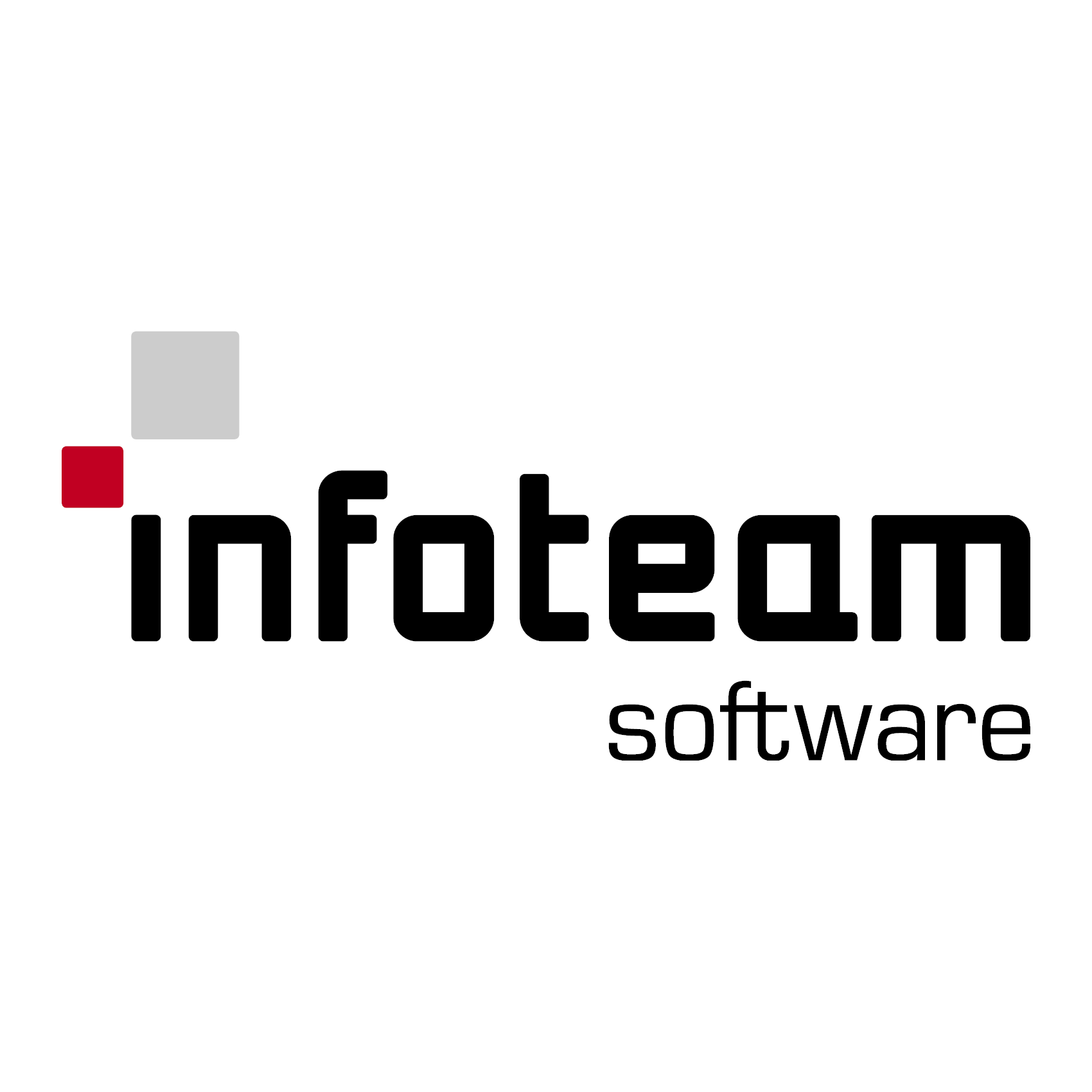 infoteam software Logo