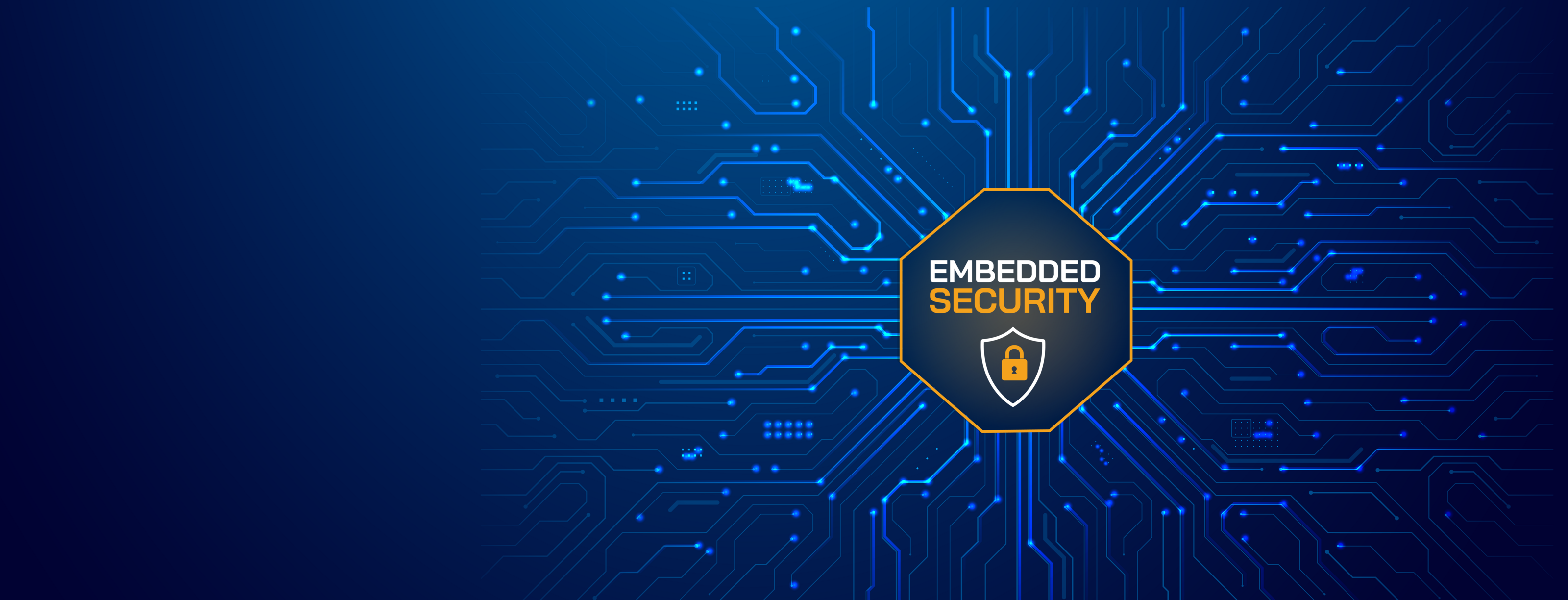 Embedded Security