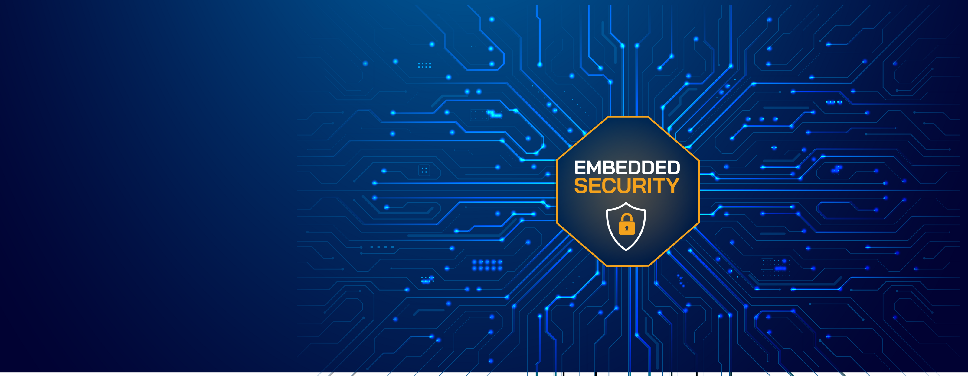 Embedded Security
