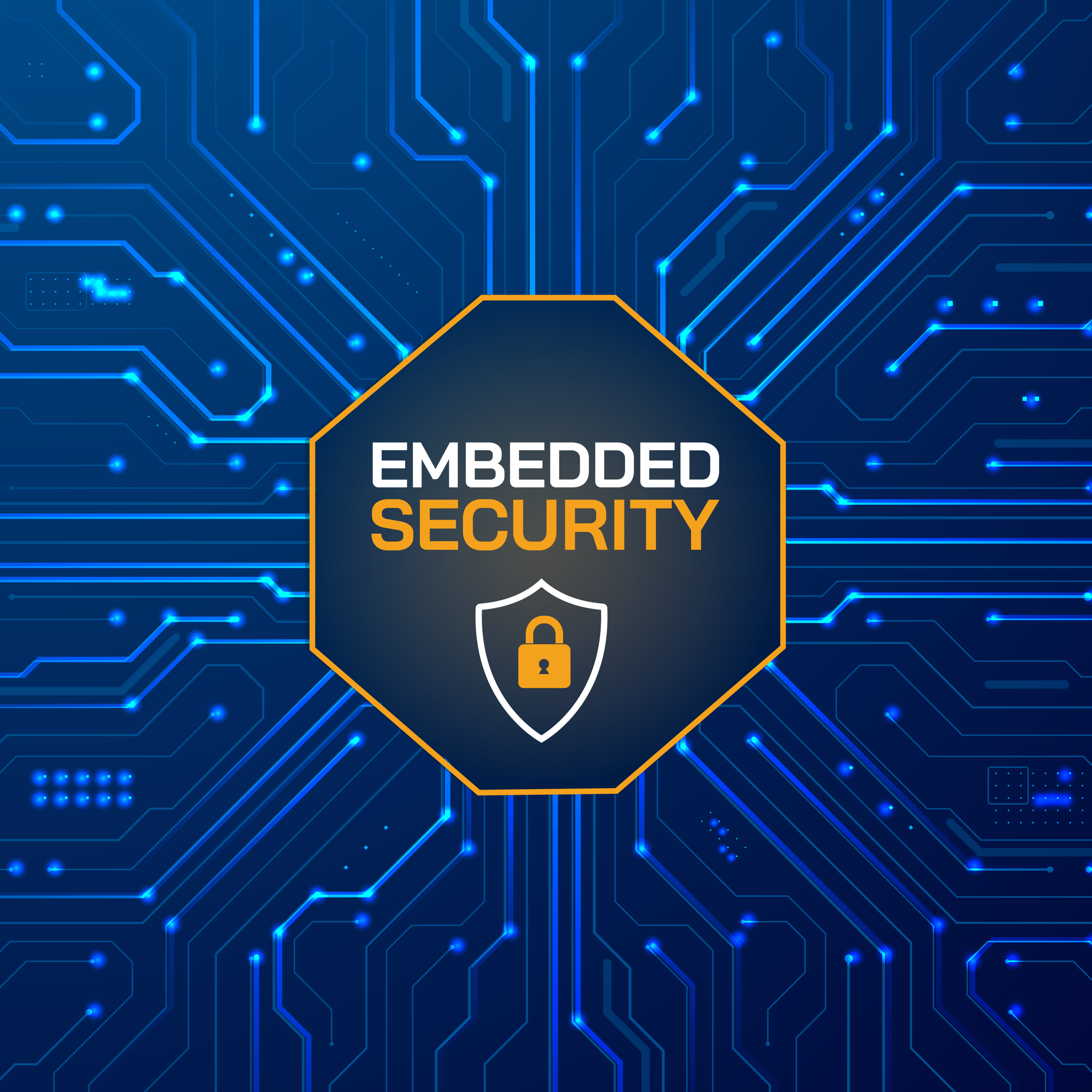 Embedded Security